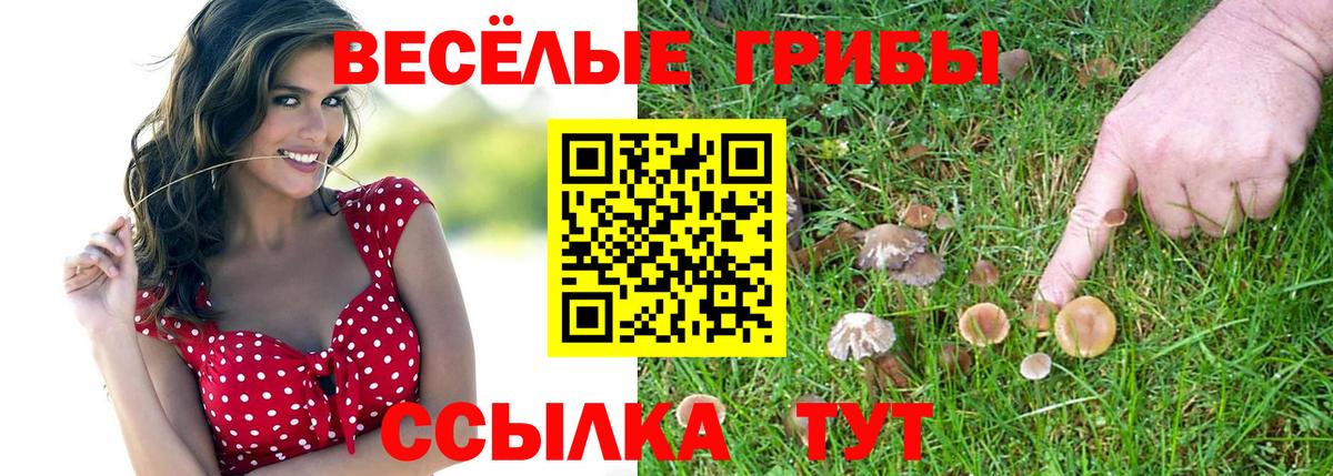 Таганрог  Галлюциногенные грибы MAGIC MUSHROOMS  где найти   Вход с VPN 